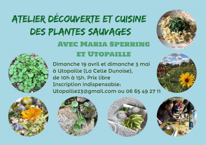 Cuisine avec les plantes sauvages - Utopaille