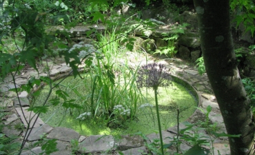 le jardin du thé