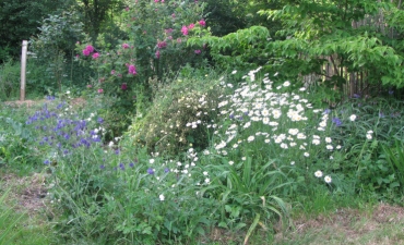strates du jardin forêt