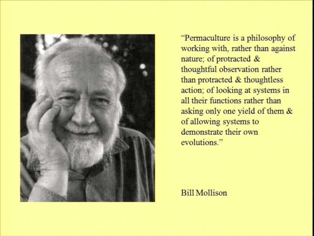 Permaculture by Bill Mollison
